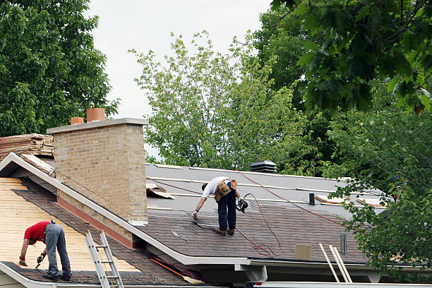 Best Local Roofing Companies  in Eslon, CA